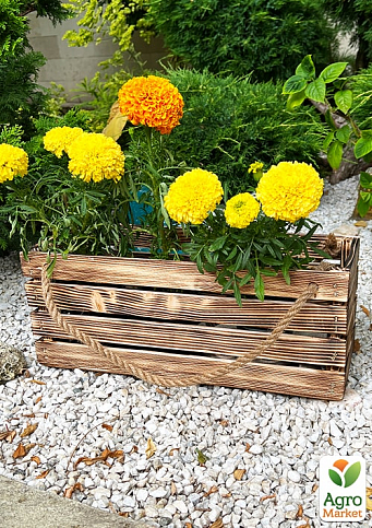 Ящик декоративний дерев'яний для зберігання та квітів "Жиральдо" д. 4см, ш. 17см, ст. 17см. (обпалений з великими ручками) - фото 3