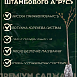 Крыжовник на штамбе "Неслуховский" (ранний срок созревания, крупноплодный) купить