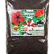 Петунія "Унікум суміш" ТМ "Весна" 100г купить