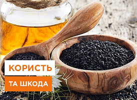Олія чорного кмину: користь, застосування - корисні статті про садівництво від Agro-Market
