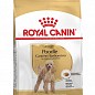 Royal Canin Poodle Adult Сухий корм для дорослих собак породи Пудель 1.5 кг (7431740)