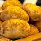 Картопля "Челенджер" насіннєва пізня (1 репродукція) 1кг цена