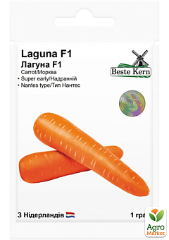 Морква "Лагуна F1" ТМ "Beste Kern" 1г1