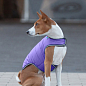 Куртка-накидка для собак AiryVest, L, B 58-70 см, С 42-52 см фиолетовый (15449) 