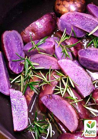 Насіннєва картопля фіолетова "Павич" (1 репродукція) 1кг - фото 2