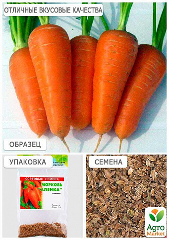 Морковь "Аленка" (Зипер) ТМ "Весна" 5г - фото 2