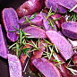 Картофель "Павлин" семенной фиолетовый (1 репродукция) 1кг купить