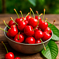 Черешня "Майская" (очень ранний срок созревания)