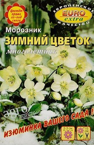 Морозник "Зимний цветок" ТМ "АЭЛИТА" 0.04г