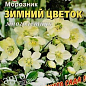Морозник "Зимовий квітка" ТМ "АЕЛІТА" 0.04г