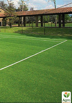 Суміш трав "Спортивно-ігровий газон" ТМ "Green Field" 10кг30