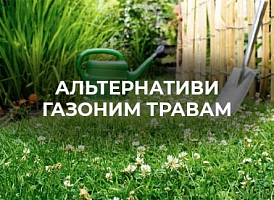 Що посіяти замість газонної трави | Agro-market