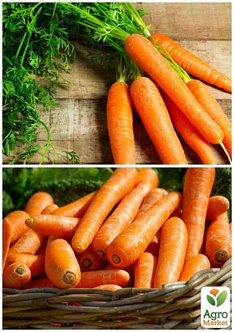 На развес Морковь "Оранжевый король" ТМ "Весна" цена за 15г - фото 2