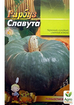 Тыква "Славута" (Большой пакет) ТМ "Весна" 8г9
