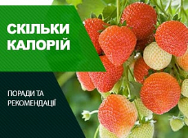 Скільки калорій в полуниці - корисні статті про садівництво від Agro-Market