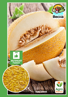 Диня "Медок" (Великий пакет) ТМ "Весна" 2,5г7