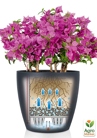 Розумний вазон з автополивом Lechuzа Classico Color 43, сірий (13244) - фото 3