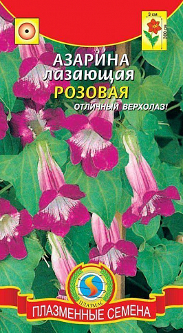 Азаріна лазающая "Рожева" ТМ "Плазмові насіння" 10шт