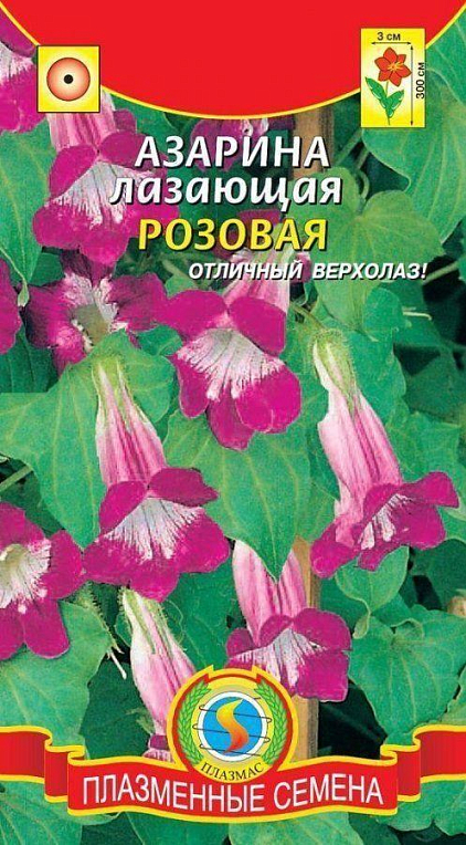 Азаріна лазающая "Рожева" ТМ "Плазмові насіння" 10шт