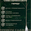 Ексклюзив! Гібрид сливи-абрикоса "Плуот" (Dapple Dandy) купить