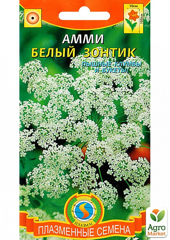 Амми "Белый зонтик" ТМ "Плазменные семена" 0,3г NEW