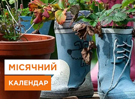 Місячний календар на серпень 2023  - корисні статті про садівництво від Agro-Market