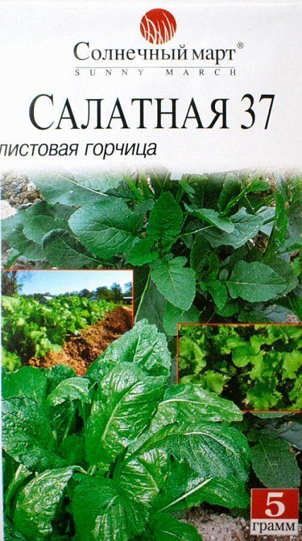 Гірчиця "Салатна 37" ТМ "Сонячний березень" 5г