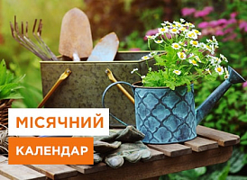 Місячний посівний календар садівника та городника на липень 2023 - корисні статті про садівництво від Agro-Market