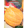 Дыня "Эфиопка" ТМ "Весна"  1,5г купить