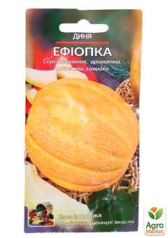 Дыня "Эфиопка" ТМ "Весна"  1,5г6