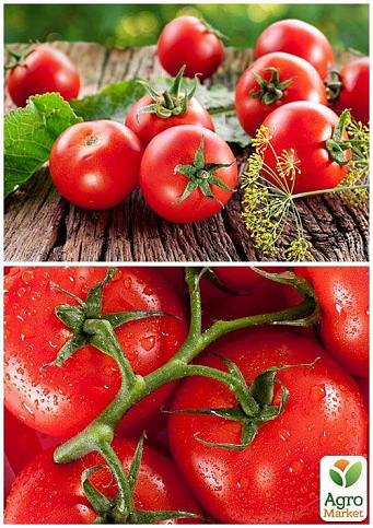 На развес томат "Белый налив" ТМ "Весна" цена за 2г - фото 2