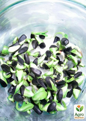 Семена подсолнуха необжаренные для проращивания органического происхождения ТМ "Green Vitamin" 500г