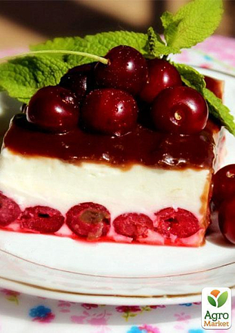 Эксклюзив! Черешня колоновидная рубиново-красная "Красная помада" (Red lipstick) (премиальный супер сладкий сорт) - фото 3