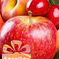 Эксклюзив! AGROBOX с высокоурожайным плодовым деревом