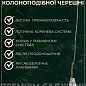Черешня колоновидная "Тютчевка" купить