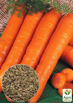 На развес Морковь "Оранжевый король" ТМ "Весна" цена за 15г1