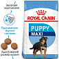 Royal Canin Maxi Puppy Сухий корм для цуценят порід великих розмірів 4 кг (4021490)