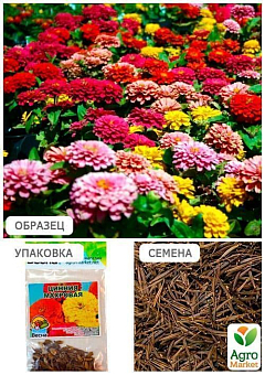 Цинния "Махровая" (Зипер) ТМ "Весна" 2г13