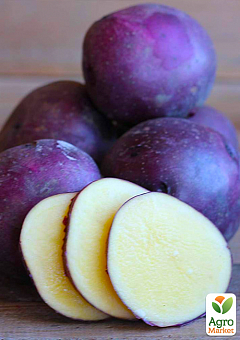 Картопля "Фіолетик" насіннєва (1 репродукція) 1кг2