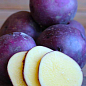 Картопля "Фіолетик" насіннєва (1 репродукція) 1кг