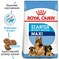 Royal Canin Maxi Starter mother & babydog Сухой корм для щенков крупных пород 1 кг (7787630)