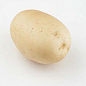 Насіннєва середньорання картопля "Евора" (на смаження, 1 репродукція) 1кг цена