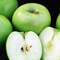 Яблоня "Гренни Смит" (зимний сорт, поздний срок созревания)