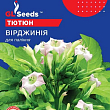 Насіння Тютюн для паління "Вірджинія" ТМ "GL SEEDS" 0.1г