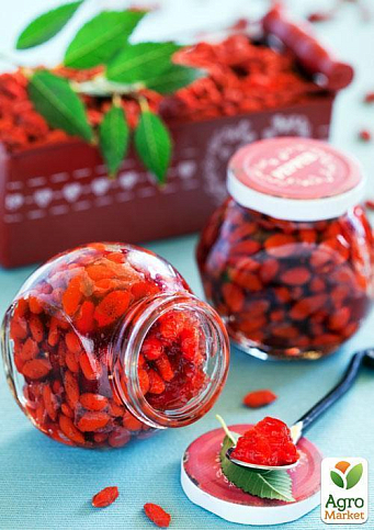 Годжи "Корнан биг" (перекрестное опыление, садить по 2 шт) - фото 5