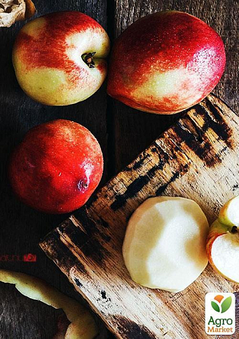 Эксклюзив! Нектарин колоновидный ярко-оранжевый с красным бочком "Принц Уильям" (Prince William) (премиальный среднеспелый сорт) - фото 3