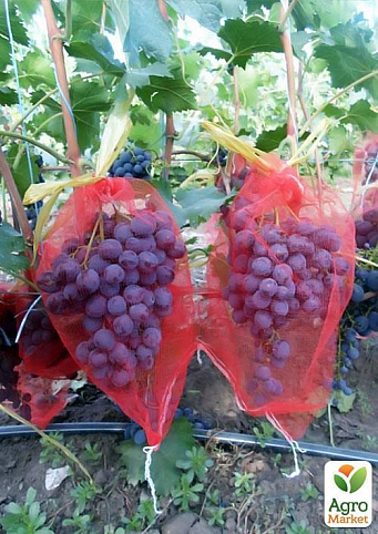 Сітка від ос для винограду "Лагуна" 30х55 1 шт
