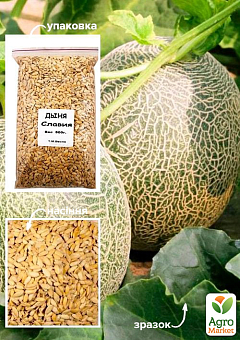 Дыня "Славия" ТМ "Весна" 500г13
