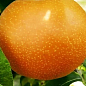 Азиатская груша "Хоюро"