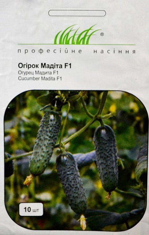 Огірок "Мадіта F1" ТМ "Hem Zaden" 10шт